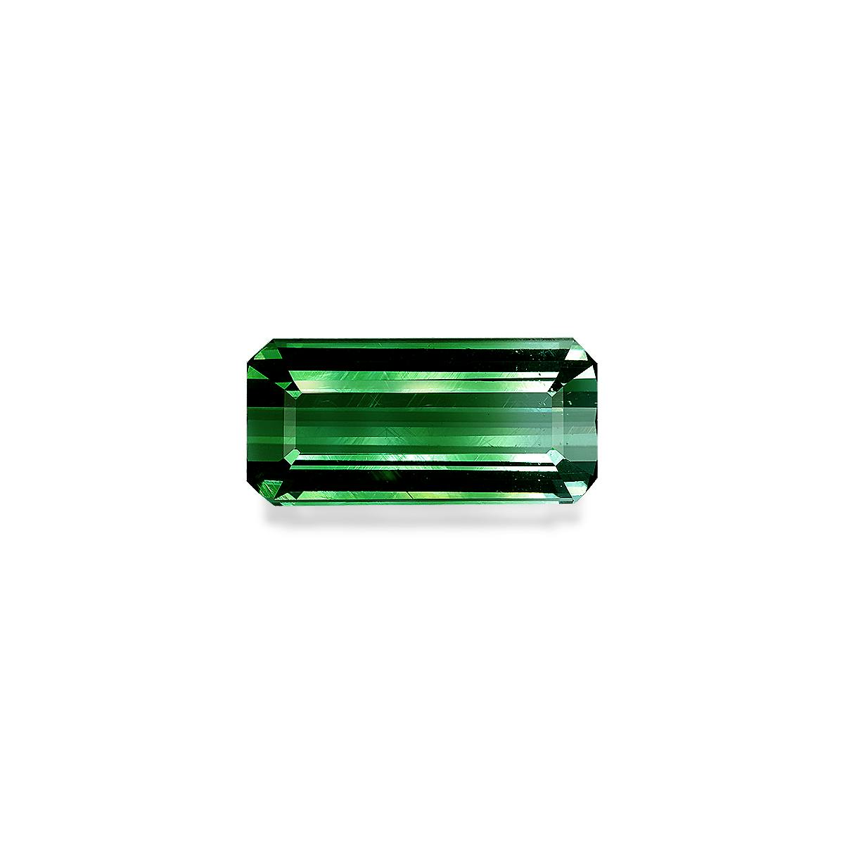 Bi Colour Tourmaline 33.12 ct